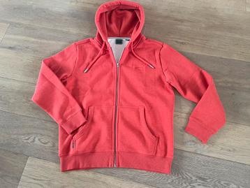 Superdry, mt XL beschikbaar voor biedingen