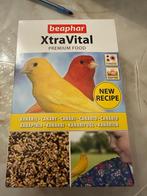 Kanarie vier, Dieren en Toebehoren, Vogels | Kanaries, Meerdere dieren, Kleurkanarie