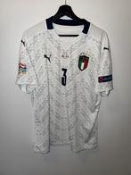Italië Matchworn Chiellini - VS Nederland - incl. COA, Ophalen of Verzenden, Gebruikt, Buitenlandse clubs, Shirt