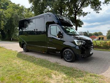 Renault Master Krismar paardenwagen met Pro-Safety interieur beschikbaar voor biedingen