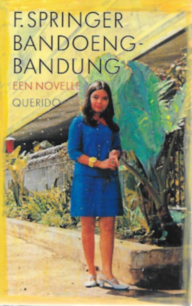 F. Springer: Bandoeng-Bandung, Boeken, Overige Boeken, Gelezen, Ophalen of Verzenden