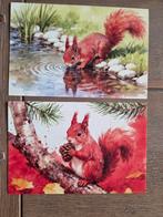 EEKHOORNS 2, Ophalen, Paard