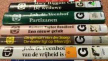 Grootletterboeken beschikbaar voor biedingen