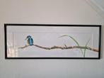 Ijsvogel Aquarel, Antiek en Kunst, Kunst | Schilderijen | Klassiek, Ophalen of Verzenden