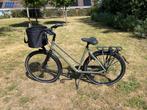 Batavus dinsdag (nieuw), 53 tot 56 cm, Ophalen, Nieuw, Versnellingen