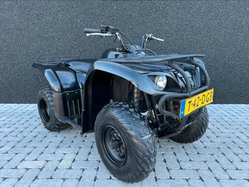 Yamaha Big Bear 250 Quad 4x2 NL-kenteken (T3b) 2009 Rijklaar beschikbaar voor biedingen