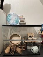 Starterspakket hamster, Gebruikt, Muis, Minder dan 75 cm, Hok