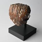 Mammoet Kiesje Fossiel Noordzee incl. standaard op maat, Ophalen of Verzenden, Fossiel