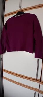 Paars wollen vest, kort model, maat 38/40, Ophalen of Verzenden, Zo goed als nieuw, Maat 38/40 (M), Paars