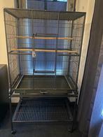 Grote vogelkooi, Dieren en Toebehoren, Ophalen, Zo goed als nieuw, Metaal, Vogelkooi