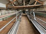 Kalverstal inrichting agrarisch, Dieren en Toebehoren, Stalling en Weidegang