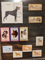 Postzegels honden, Postzegels en Munten, Postzegels | Thematische zegels, Ophalen of Verzenden