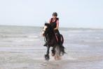 Prachtige Tinker merrie! 🌟, Dieren en Toebehoren, Minder dan 160 cm, Ruin, Zadelmak, 3 tot 6 jaar