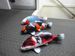 Betonnen Koi, Karper of Koi