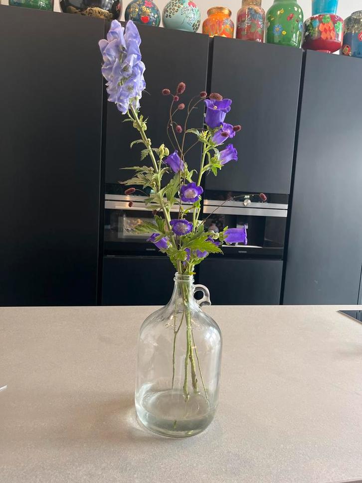 Mooie glazen gistfles / vaas, Huis en Inrichting, Woonaccessoires | Vazen, Gebruikt, Overige kleuren, Minder dan 50 cm, Glas, Ophalen of Verzenden
