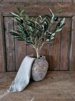 Nieuw. Kunst olijfboom. Landelijk sober stoer, Huis en Inrichting, ., Nieuw, Ophalen of Verzenden, .