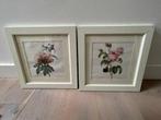 2 x oude litho's rozen / roos . P.J. Redoute. Ingelijst 1939, Ophalen, Gebruikt