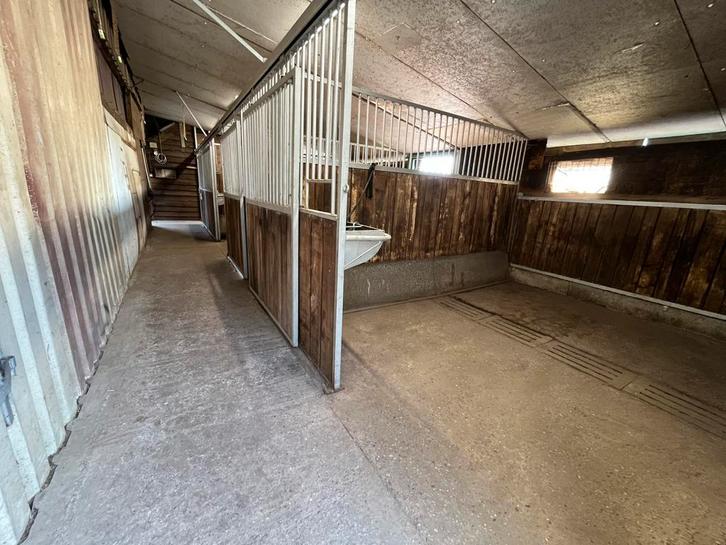 Pensionstalling paarden, Dieren en Toebehoren, Stalling en Weidegang, Stalling