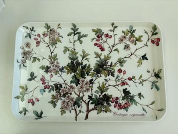 DIENBLAD. V&B. BOTANICA beschikbaar voor biedingen