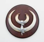 Groot schild tanden EVERZWIJN / WILD ZWIJN - ref. O