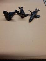 Zeehonden, Ophalen of Verzenden