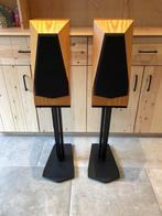 prachtige avalon monitor speakers met stands, Zo goed als nieuw, 120 watt of meer, Front, Rear of Stereo speakers, Ophalen