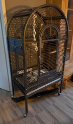 Prachtige Montana vogelkooi 150 hoog en 80 cm breed, Ophalen, Gebruikt, Metaal, Vogelkooi