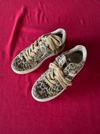 Panterprint schoenen, Ophalen of Verzenden, Zo goed als nieuw, Meisje, Schoenen