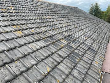 Kruispannen blauw gesmoord ruim 100O stuks beschikbaar voor biedingen