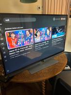 Loewe 43 inch TV - Topkwaliteit!, Overige merken, 50 Hz, Ophalen of Verzenden, 40 tot 60 cm