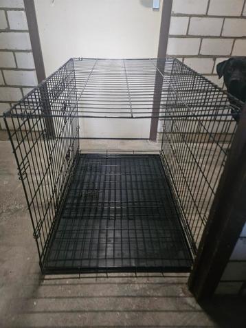 Honden bench xl beschikbaar voor biedingen
