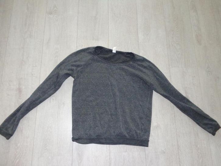 2 grijze damestruien van Alternative, maat S en M, Kleding | Dames, Truien en Vesten, Zo goed als nieuw, Maat 36 (S), Grijs, Ophalen of Verzenden