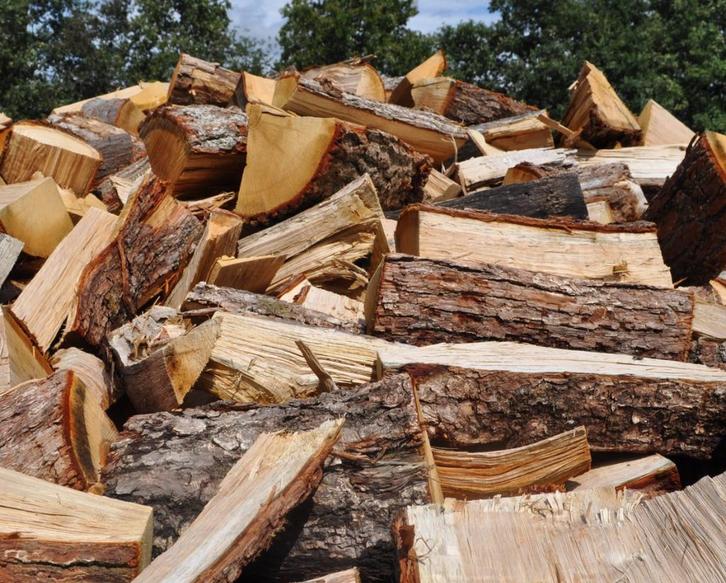 (Gendt) Gekloofd & Gedroogd Hout - 2-2.5 m3 alles €250,-, Tuin en Terras, Haardhout, Blokken, Overige houtsoorten, Minder dan 3 m³