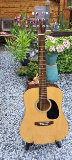 GOLDEN TON akoestische gitaar, Muziek en Instrumenten, Ophalen, Zo goed als nieuw, Western- of Steelstringgitaar
