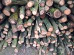 Vers kachelhout -kastanje en eik., Tuin en Terras, Haardhout, 3 tot 6 m³, Ophalen, Overige houtsoorten, Takken