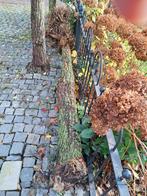 Gratis Hout ophalen voor Kachel, Ophalen