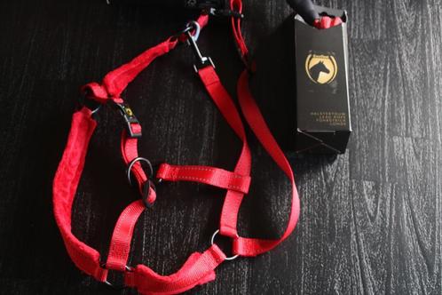 Excellent halstertouw Reflective + halster veulen (NIEUW), Dieren en Toebehoren, Paarden en Pony's | Hoofdstellen en Tuigage, Nieuw