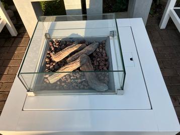 Moderne Tuinhaard met Glazen Ombouw beschikbaar voor biedingen