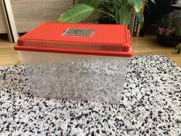 Plastik Aauarium 💥 35 x22 x 20 cm, Dieren en Toebehoren, Vissen | Aquaria en Toebehoren, Zo goed als nieuw, Leeg aquarium, Ophalen