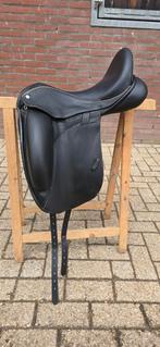 Custom coda 17,5" MW boom, Ophalen, Gebruikt, Dressuur