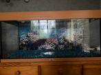 Aquarium met toebehoren, Ophalen, Zo goed als nieuw, Leeg aquarium