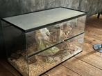 Terrarium, Dieren en Toebehoren, Reptielen en Amfibieën | Toebehoren, Ophalen, Zo goed als nieuw