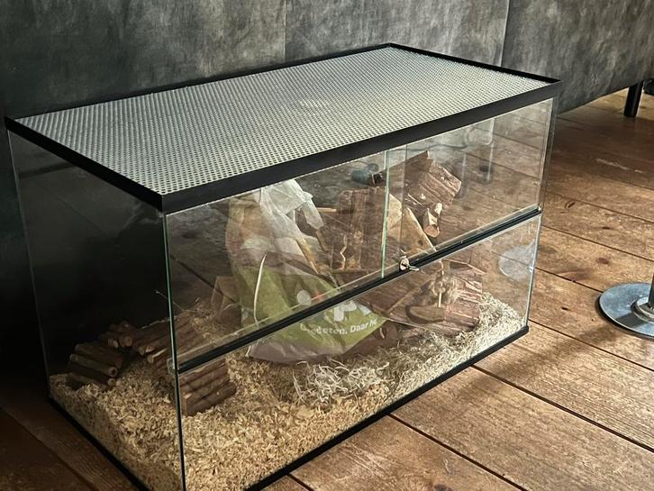 Terrarium, Dieren en Toebehoren, Reptielen en Amfibieën | Toebehoren, Zo goed als nieuw, Ophalen