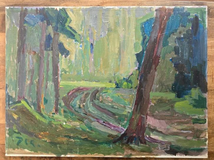 P.C. Kuiper schilderij – De Ploeg stijl – gesigneerd – 60x80, Antiek en Kunst, Kunst | Schilderijen | Klassiek, Ophalen of Verzenden