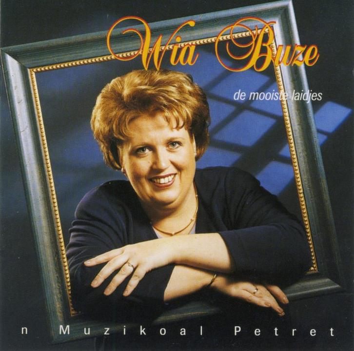Wia Buze - 'n Muzikoal petret - groningen dialect, Cd's en Dvd's, Cd's | Nederlandstalig, Zo goed als nieuw, Streekmuziek, Ophalen of Verzenden