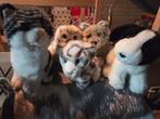 Knuffelcollectie incl. WNF knuffels, Ophalen of Verzenden, Gebruikt, Overige typen