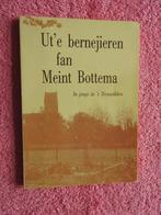 Ut 'e bernejieren fan Meint Bottema - Trynwâlden, Boeken, Ophalen of Verzenden, 20e eeuw of later, Zo goed als nieuw