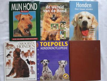 Honden: fokken, Toepoels, Gauss, Elseviers, terrier, collie  beschikbaar voor biedingen