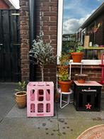 Iconische roze Evian kratjes 🌸, Huis en Inrichting, Tafels | Bijzettafels, 45 tot 60 cm, Kunststof, Nieuw, Rechthoekig