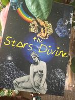 Stars Divine Tarot Deck, Boeken, Esoterie en Spiritualiteit, Verzenden, Zo goed als nieuw, Tarot of Kaarten leggen, Overige typen
